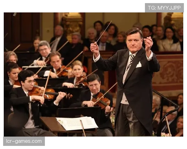 奥地利维也纳历史文化节大放异彩，吸引全球游客共襄盛举