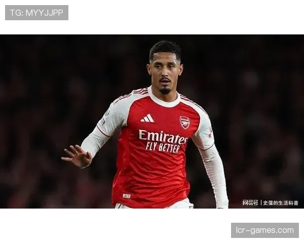 威廉·萨利巴在法国国家队轮换体系中的角色解析